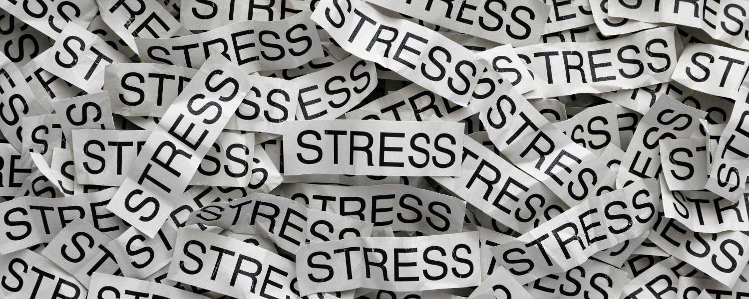 Read more about the article How Does Stress Build Up?