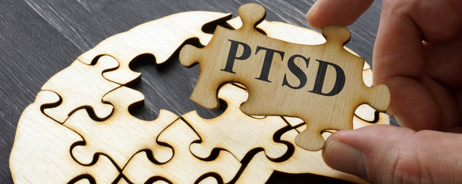 PTSD/Trauma symptoms and treatment jigsaw brain