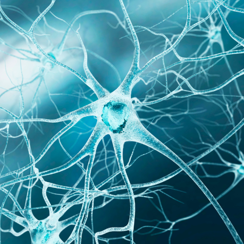 New PTSD Trauma TreatmentStellate Ganglion Blocks - nerve image